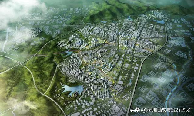 龍崗最新資訊,學(xué)習(xí)變革,自信成就未來(lái)之路