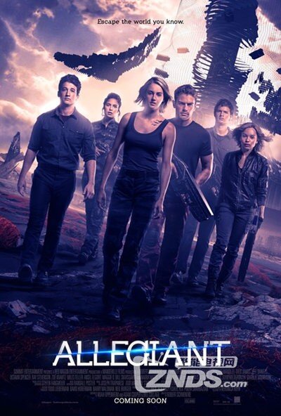 巷弄深處的影視寶藏,電影搶先版探秘