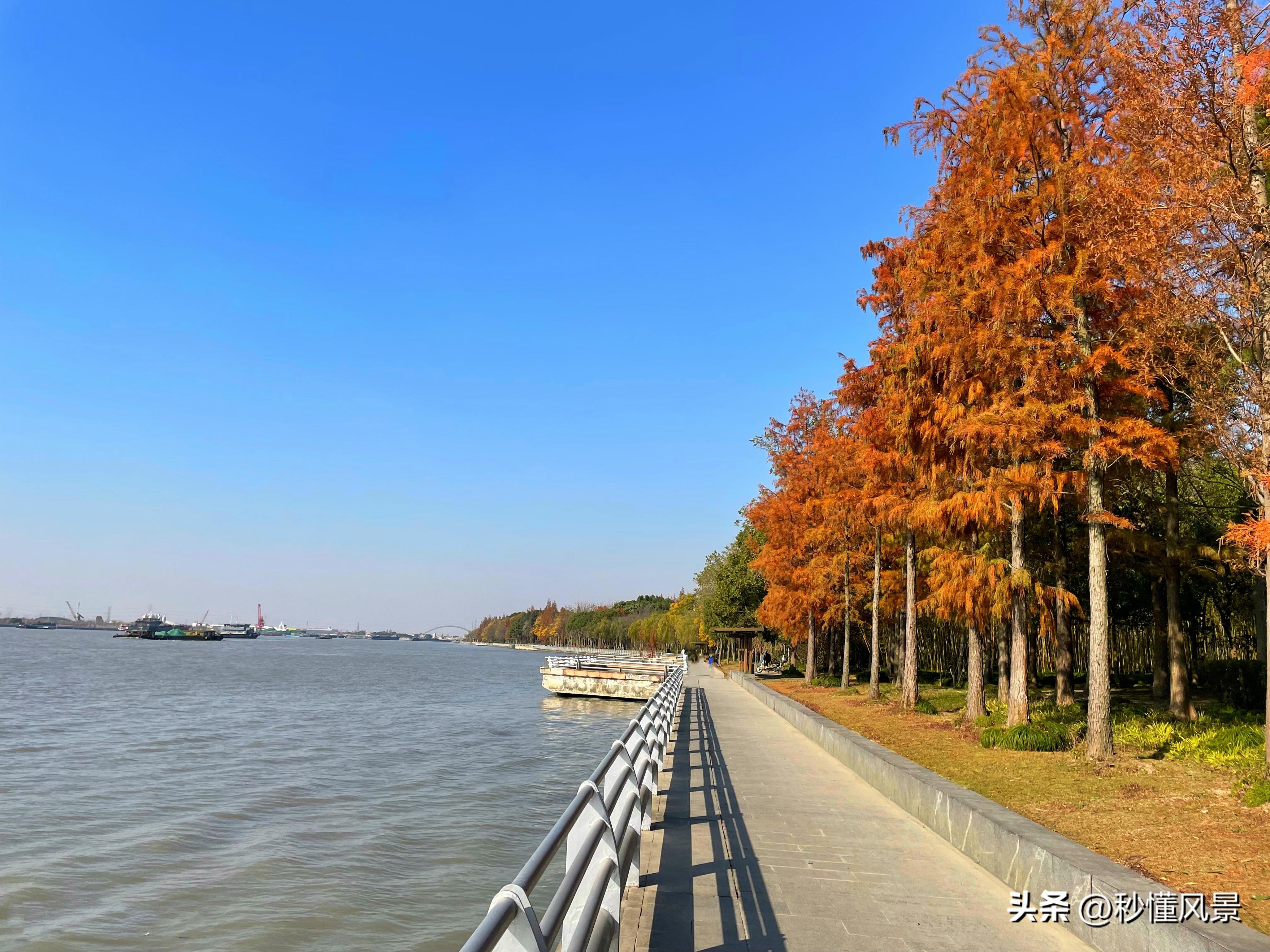 黃浦江游船門票價(jià)格攻略,全面指南