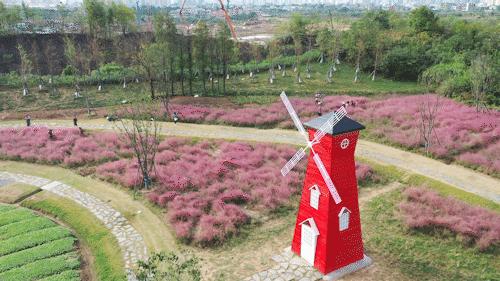 鄂州動態,鄂州動態?