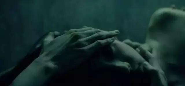 打蟲子的電影,自然美景中的探索之旅