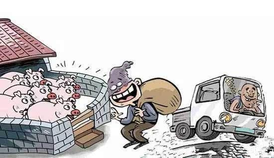 最新盜竊牲畜法律規定,探索法律在小巷中的實際應用