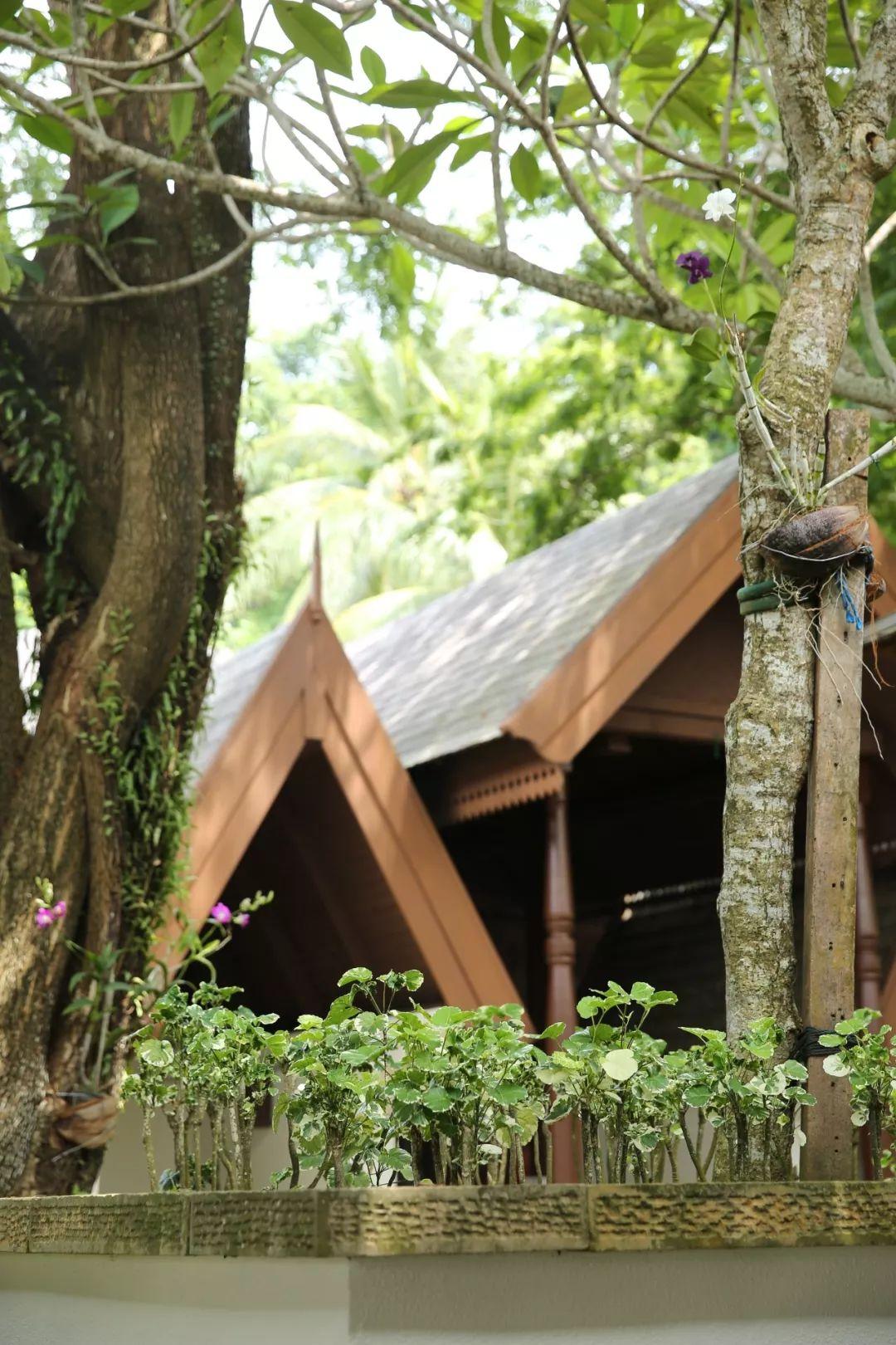 明星sl的溫馨日常，愛(ài)與陪伴的力量