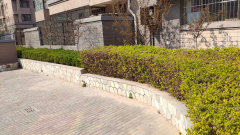 陽光國際城601，家的溫馨與友情深度鏈接的實景圖展示