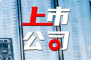 鑄造上市公司詳解,初學者與進階用戶的全方位指南