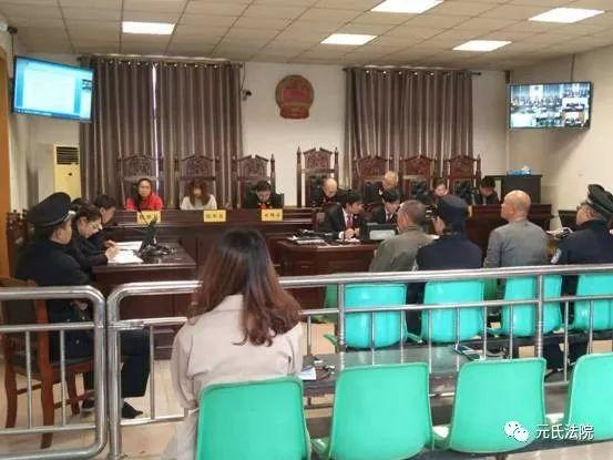 元氏最新案件，心靈與自然的神秘交織之旅