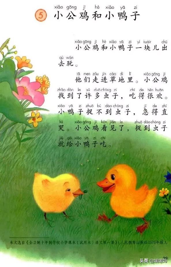 一年級朗讀比賽,孩子們的語言啟蒙之旅