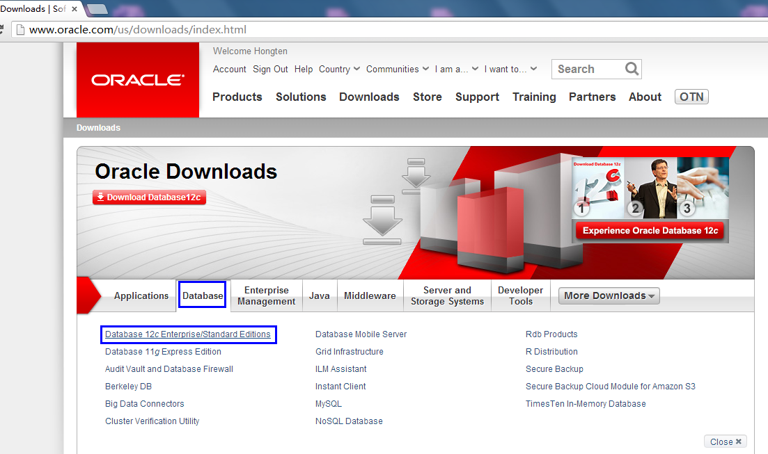 Oracle最新版本,探尋內心平靜的旅程,與自然魔法的交融