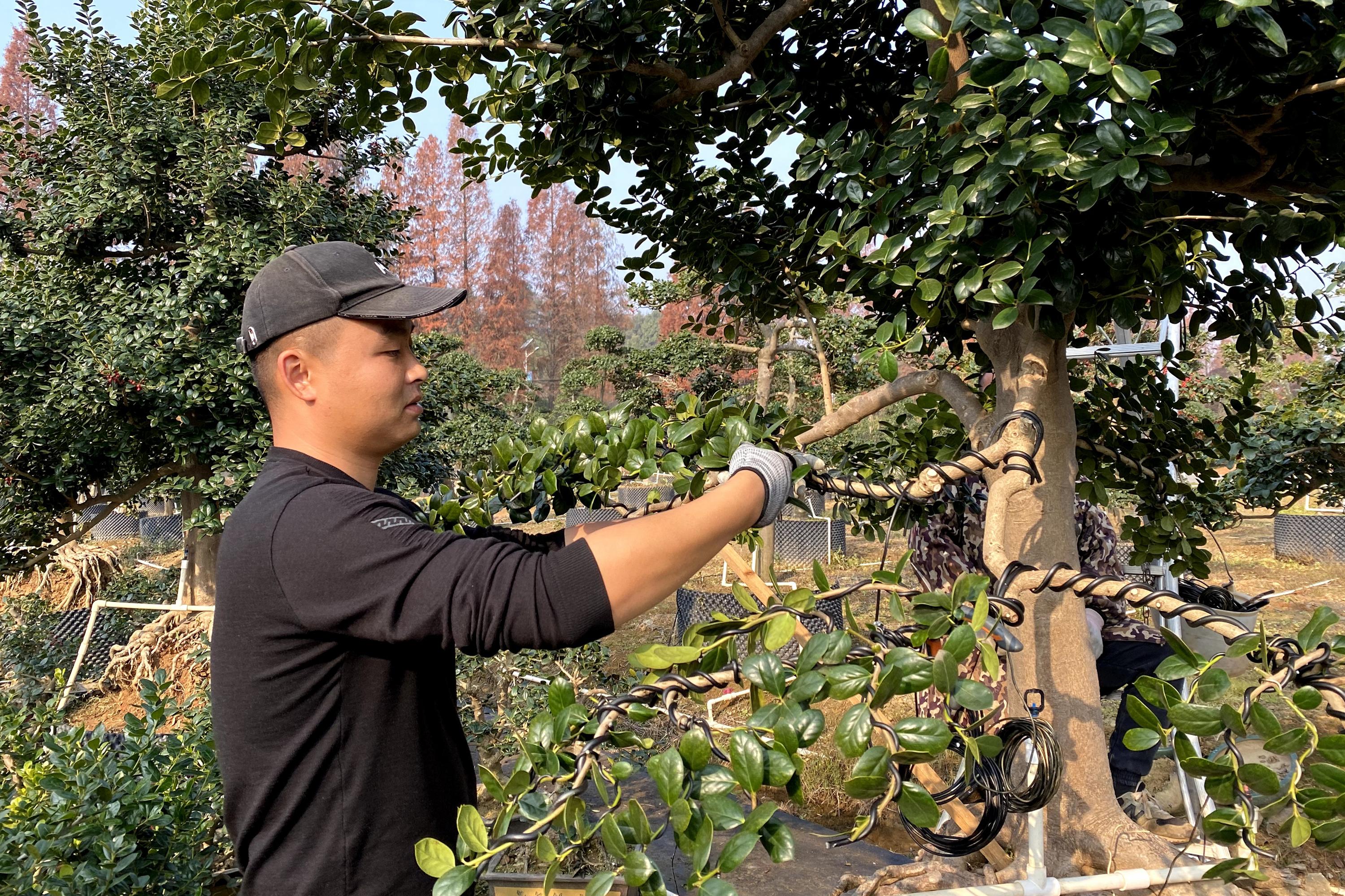 雨花區跳馬最新資訊,小巷深處的獨特風味探索