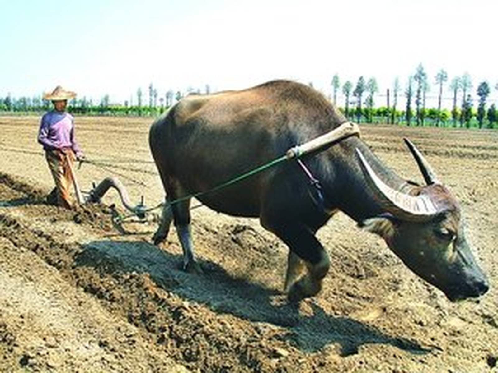 女人的地男人犁最新章節(jié),女人的地男人犁最新章節(jié),探索現(xiàn)代兩性關(guān)系的深度發(fā)展