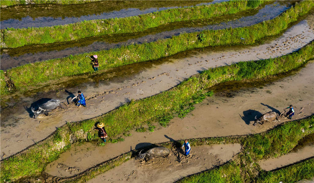 女人的地男人犁最新章節(jié),女人的地男人犁最新章節(jié)，探索現(xiàn)代兩性關(guān)系的深度發(fā)展