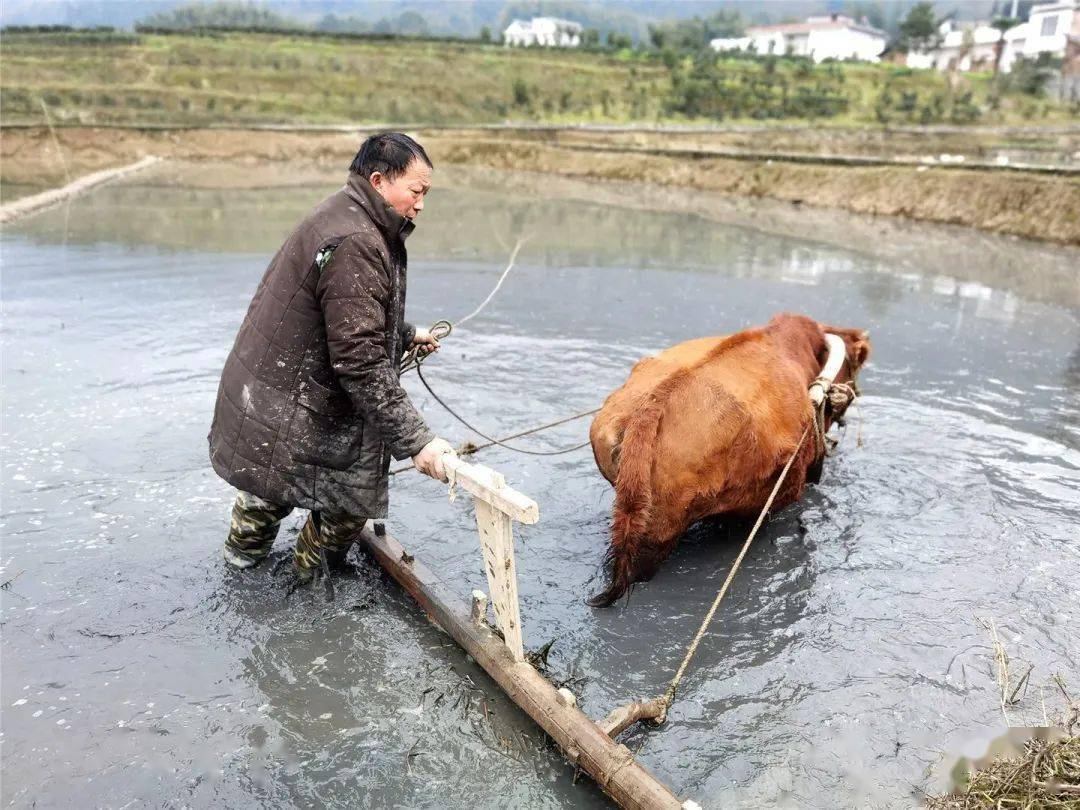 女人的地男人犁最新章節(jié),女人的地男人犁最新章節(jié),探索現(xiàn)代兩性關(guān)系的深度發(fā)展