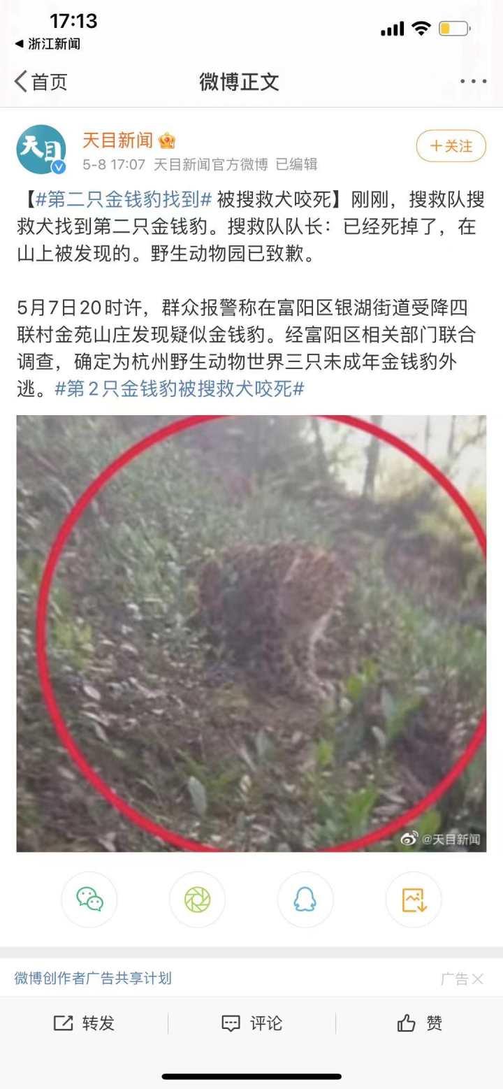 承德新聞快訊，多元視角下的觀察與解讀今日更新