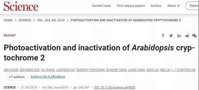前沿教育研究話題與科技新品重塑未來教育，智能之旅的新紀元