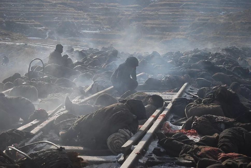 電影場景圖,重溫銀幕瞬間的藝術魅力與經典場景的魅力展現