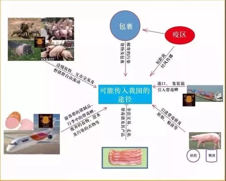 探索傳染病最新傳播途徑,揭示傳播新領域奧秘