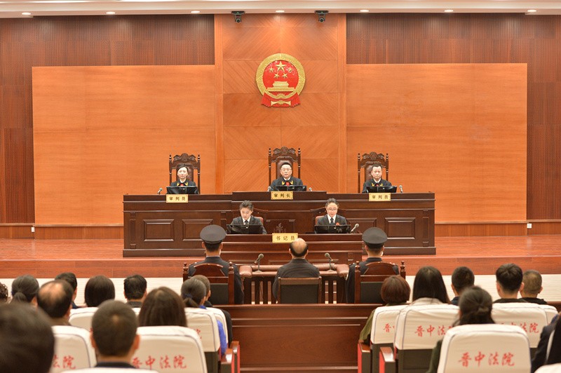 季緗綺副省長最新動態揭秘，日常趣事與深厚友情展現風采