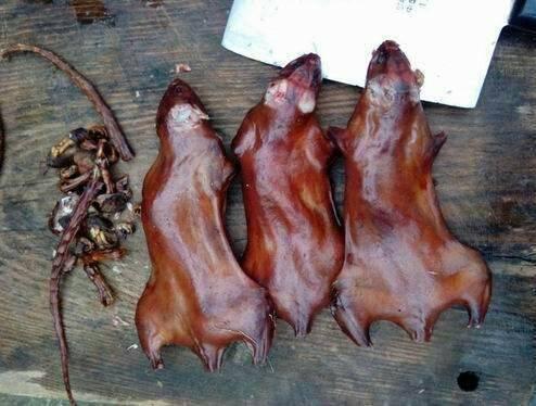 湛江田鼠收購信息與實現夢想，學習變化，自信助力前行