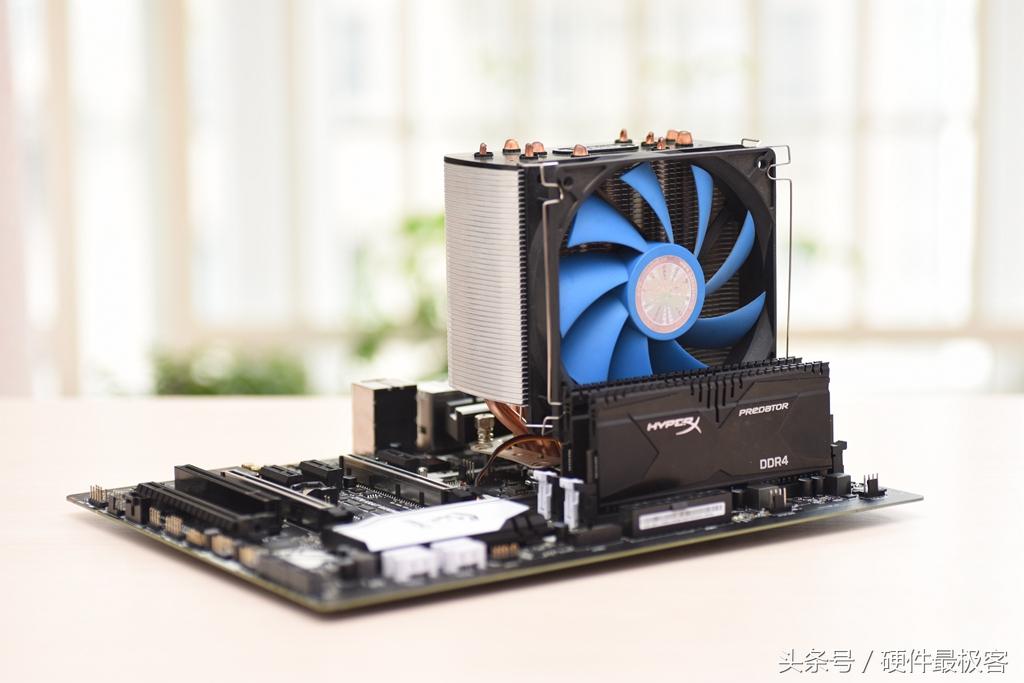 銀環蛇的價格，蛻變之路的自信與成就感展現