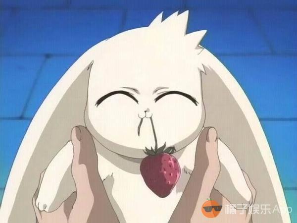 萌寵動(dòng)漫圖片及其制作指南