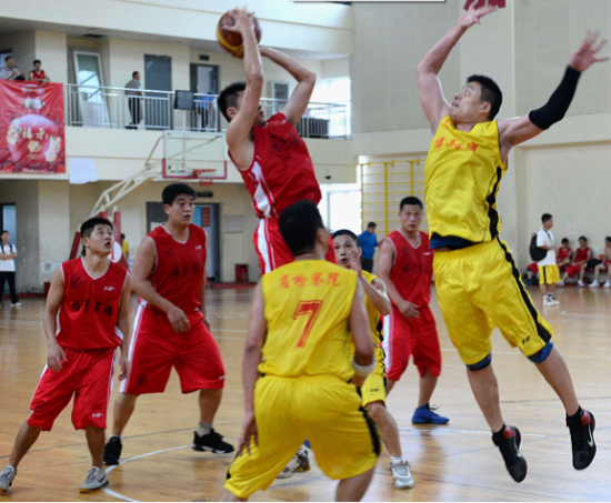 蘭球比賽規則詳解,賽場上的競技與歡樂時光