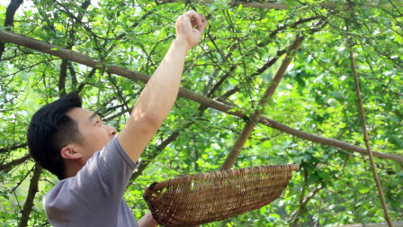 遂川熱門資訊與發展動態探尋