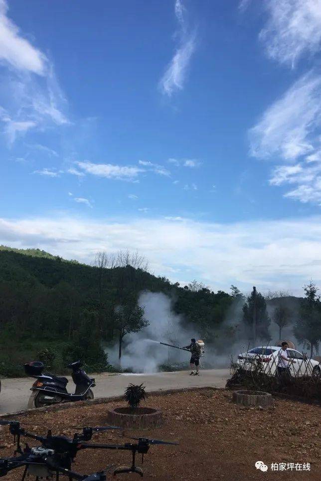 最新蝗蟲災害動態,最新蝗蟲災害動態，應對與防治的詳細步驟指南