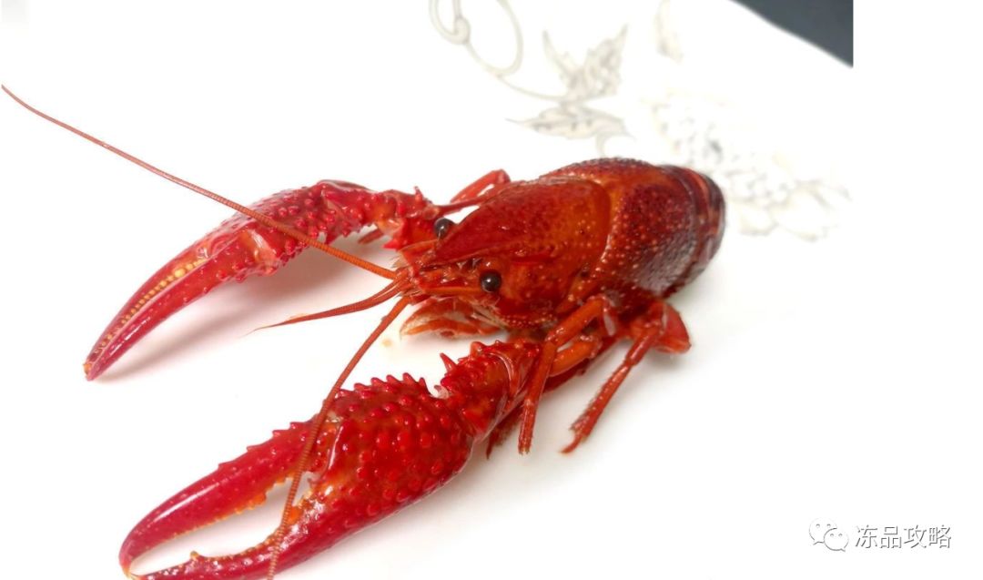 龍蝦價格變遷,時代印記與特定影響因素的探究