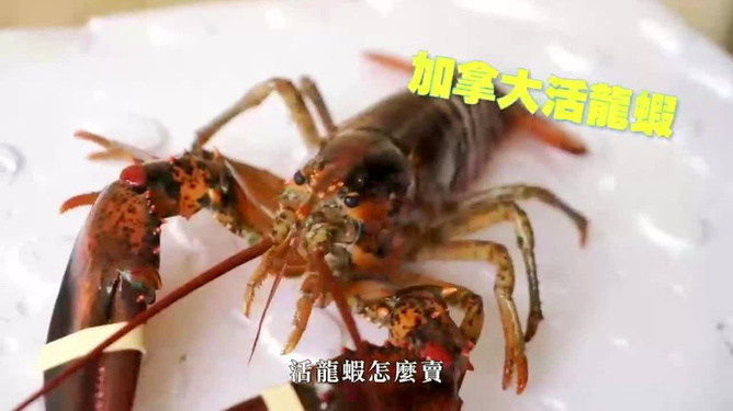 龍蝦價格變遷,時代印記與特定影響因素的探究