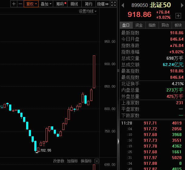 揭秘股票100股,股市新航向的探索之旅!