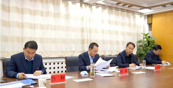 肺炎最新實情深度解析,觀點論述與最新進展