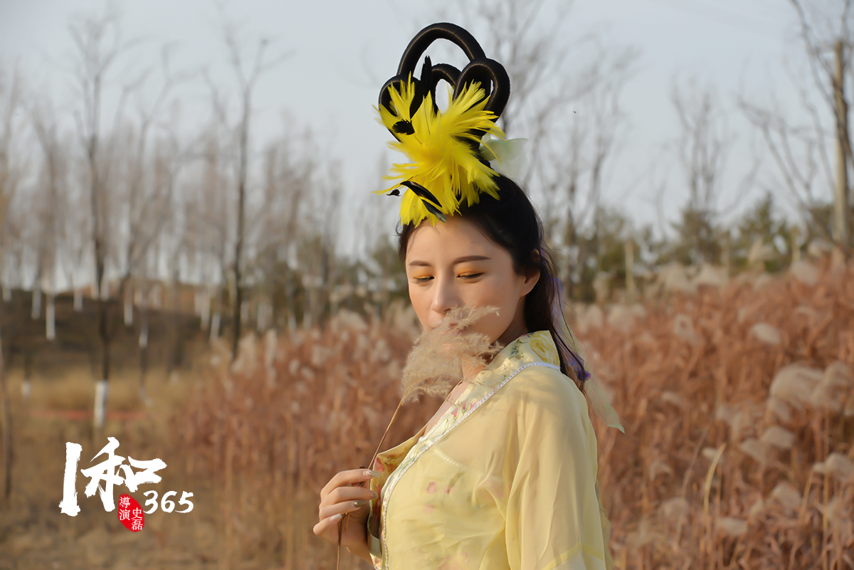 牛郎織女演員的角色詮釋與表演藝術(shù)深度探討