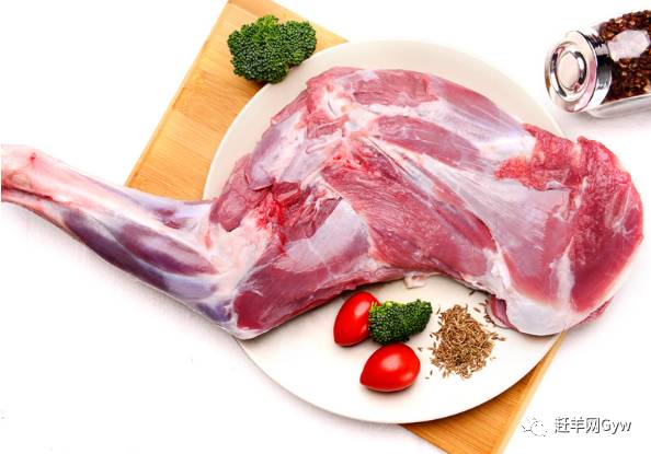 羊肉最新行情與小街巷中的美食探秘