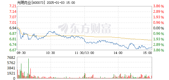 上海梅林股票行情,科技巨擘引領未來股市風云。
