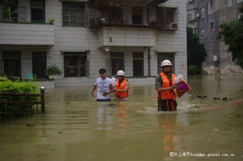長沙汛情實時更新,汛期的溫馨故事