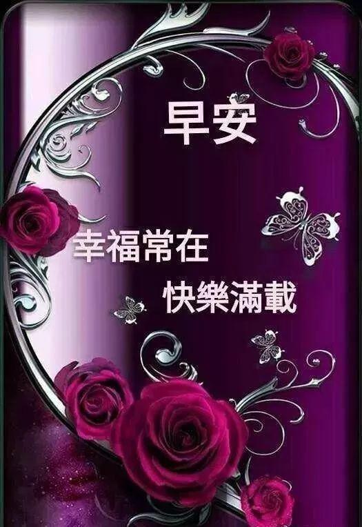 微信電腦版更新指南，詳細步驟教程