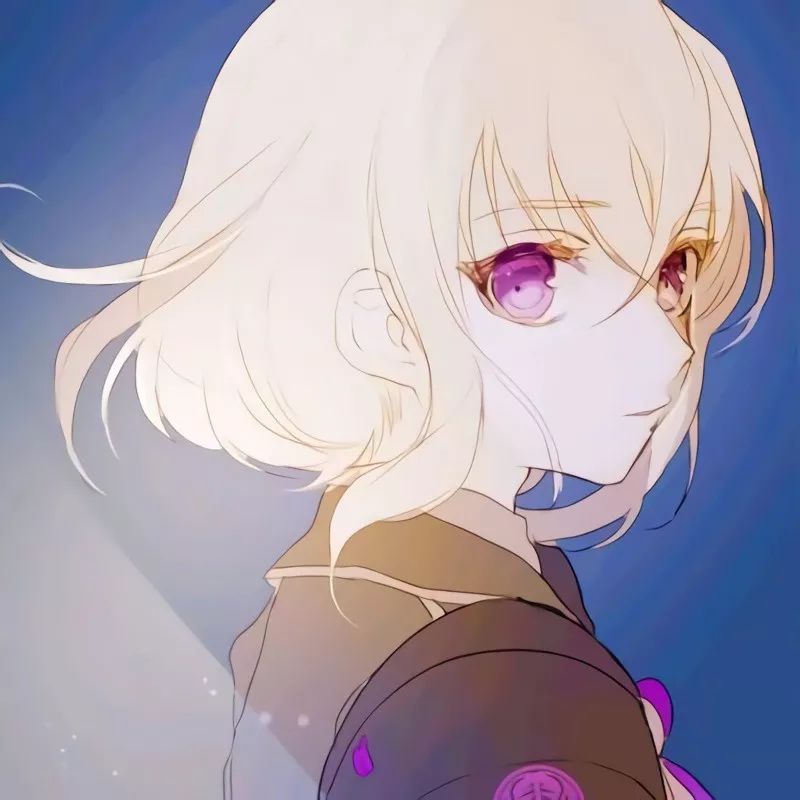 動漫女頭揭秘,小巷中的秘密寶藏