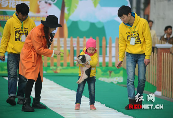 抱豬比賽，歡樂無限，盡享激情時刻！