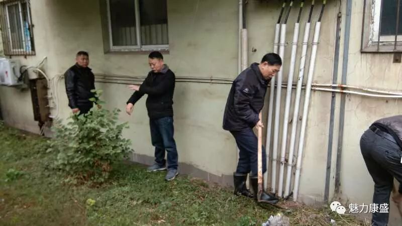 草社區最新動態，友情綠意下的愛與陪伴的種子生根發芽