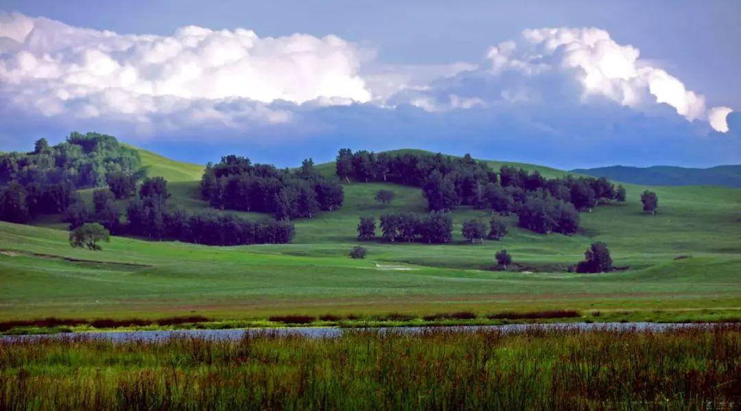 最新草原旋律,最新草原旋律,高科技產品重塑草原風情,引領未來生活新旋律