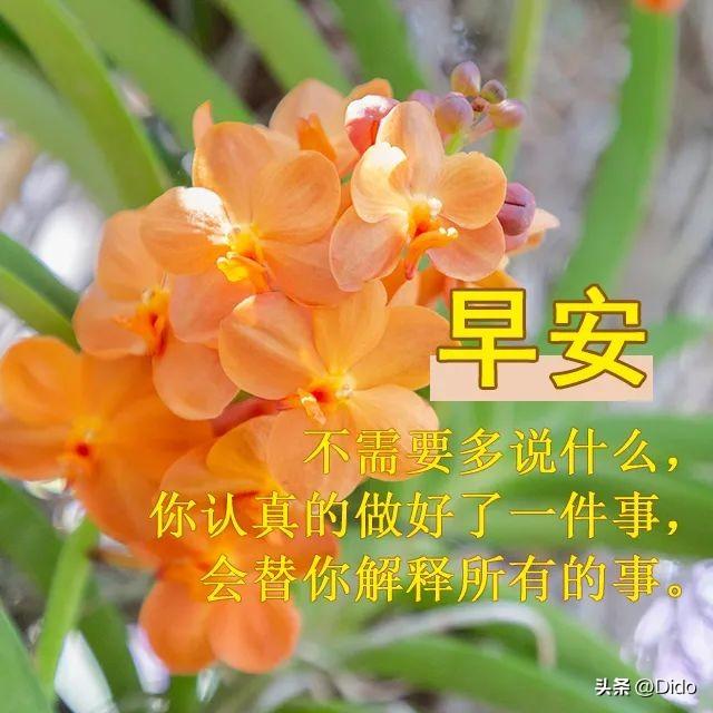 溫馨日常歡樂時光的最新動態