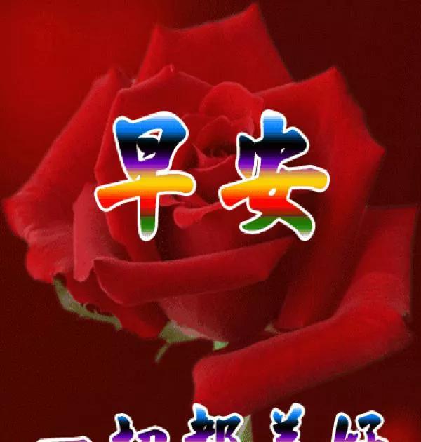 溫馨日常歡樂時光的最新動態