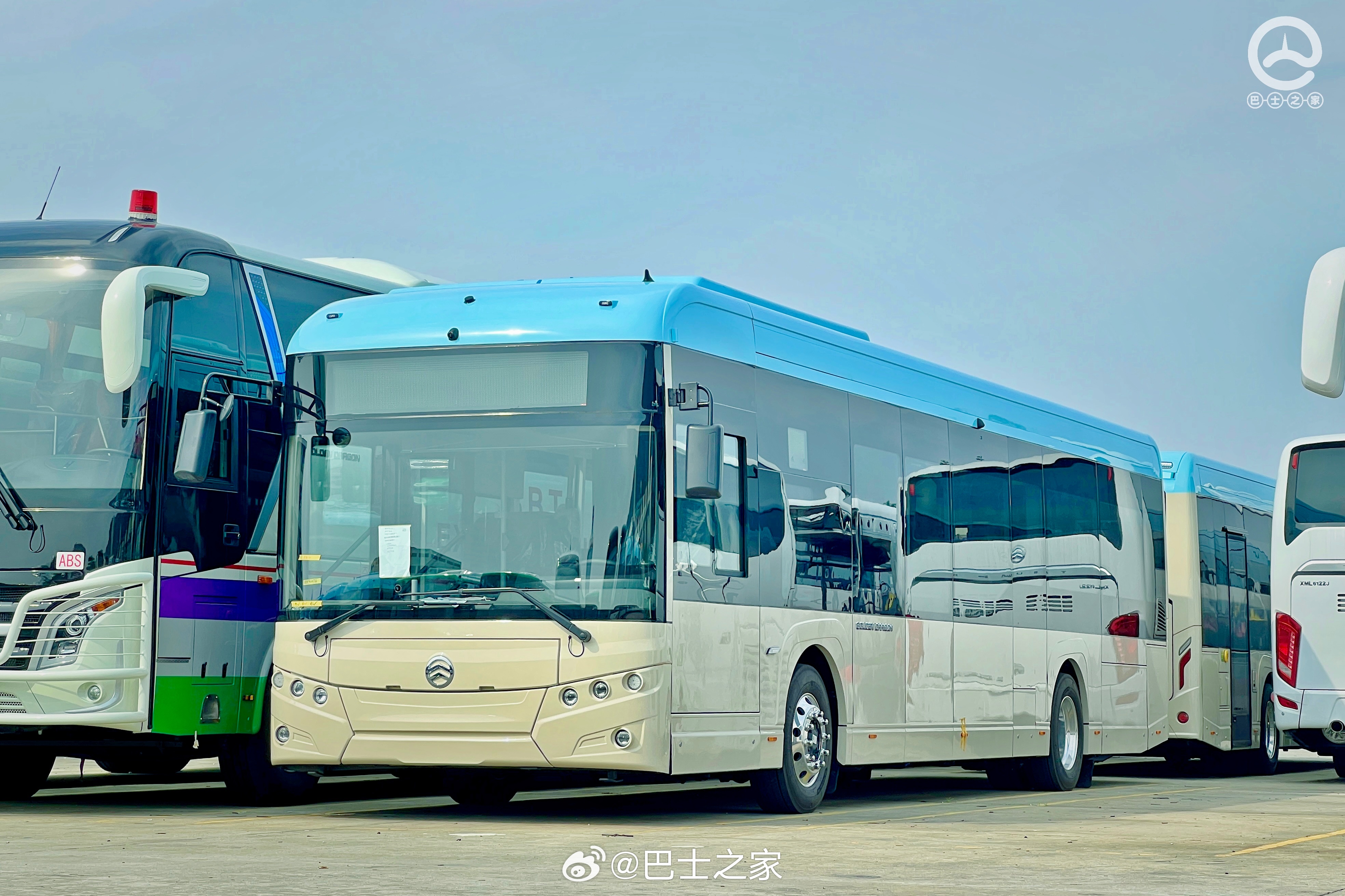 最新海豐車型推薦,精選多款熱門車型任你選!