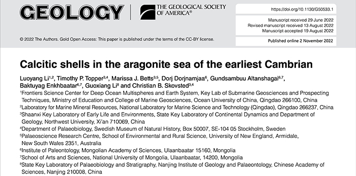 Ocumetics最新進(jìn)展揭秘,小巷深處的醫(yī)療寶藏奇跡