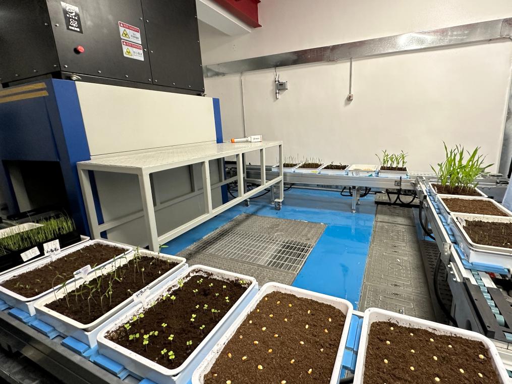 喬元利最新動態，成長軌跡揭秘與未來展望