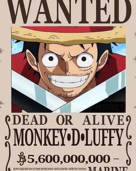 草帽團最新懸賞任務,海洋之謎與友情之溫暖探索之旅