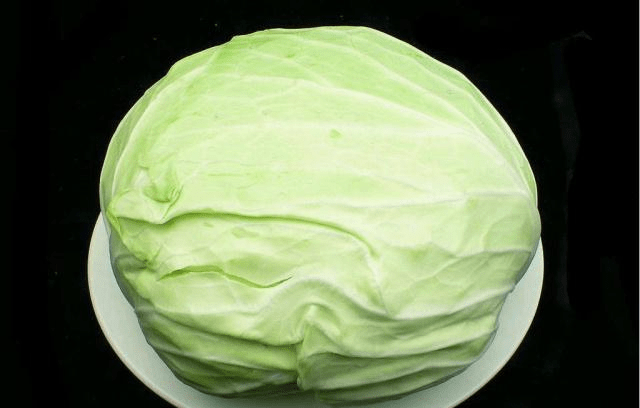 包菜價格最新行情及分析概述