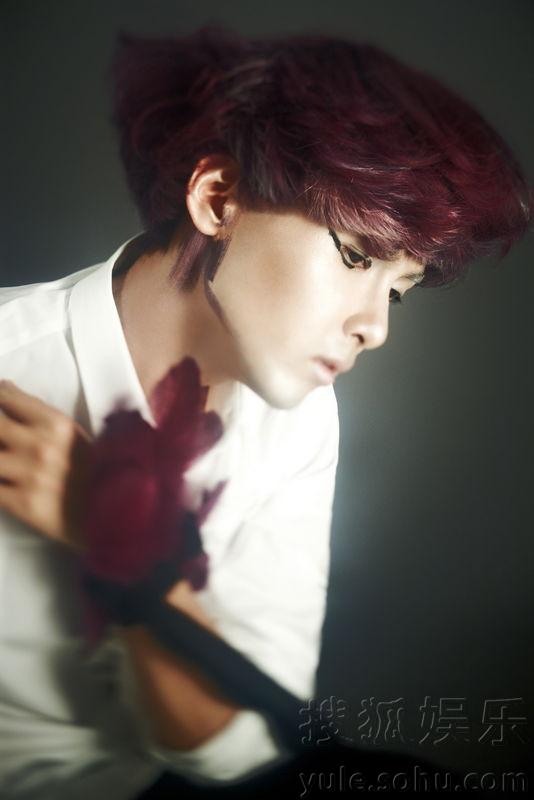 SJ明星揭秘，探索自然美景之旅，尋找內心的平靜與喜悅之旅