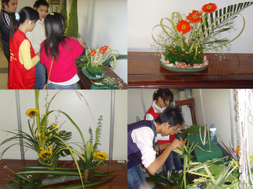 最新花藝風采，展現創(chuàng)造力與自信的絕美藝術