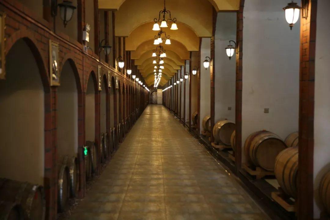 蘇州信匯達(dá)最新動(dòng)態(tài)，友情的紐帶與溫馨的陪伴